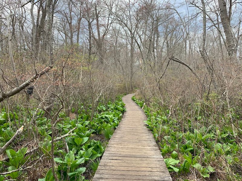 Trails for Every Kind of Outdoor Enthusiast