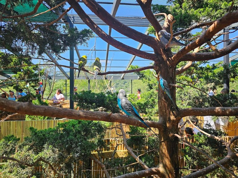 Seasonal Butterfly and Bird Tents Worth the Extra Fee