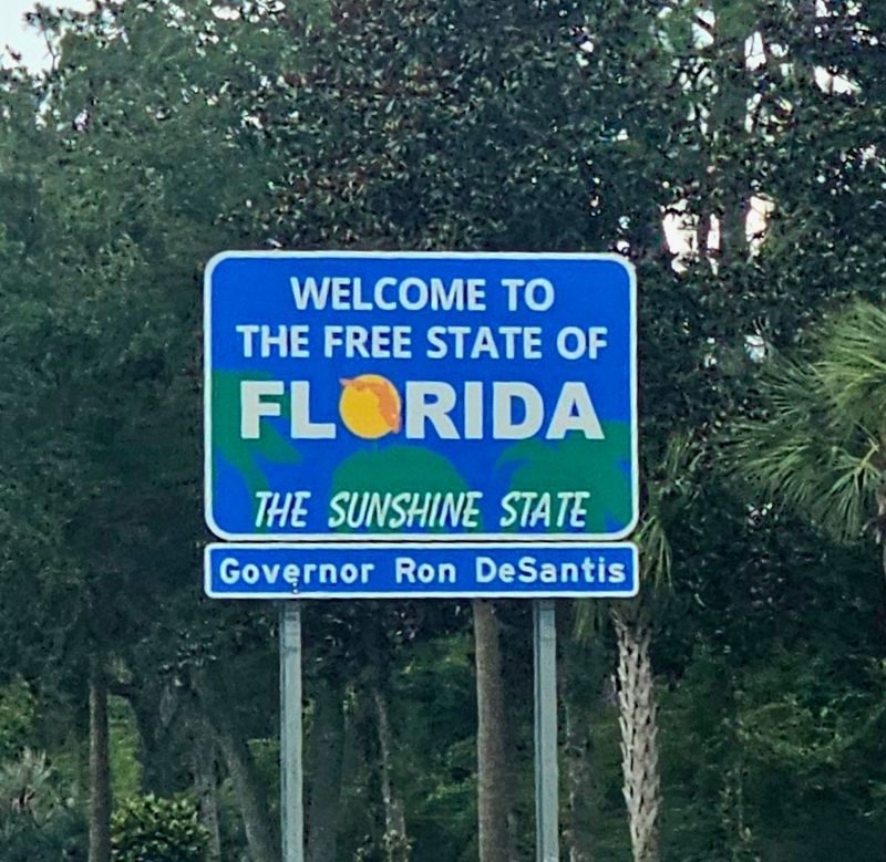 The Unpredictable Florida Surprises