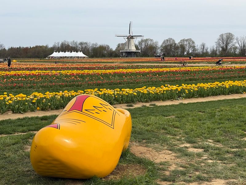 The Farm Has a Real Story Behind It Worth Knowing