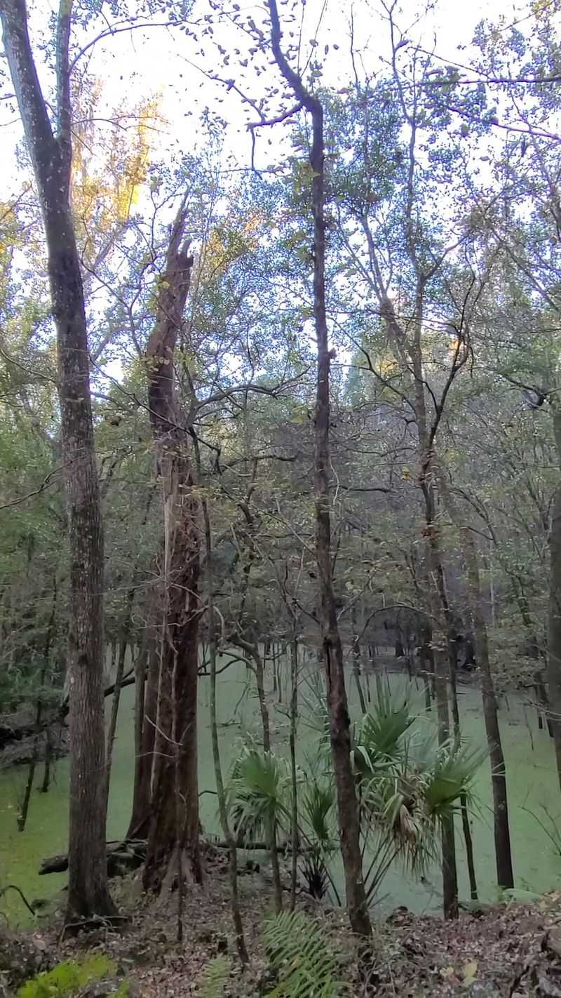 Lizzie Hart Sink Reveal: The Blue Surprise