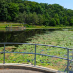 The Quiet County Park Near Pittsburgh Worth Exploring