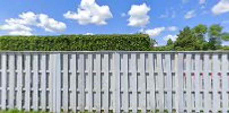 What an anechoic chamber actually does