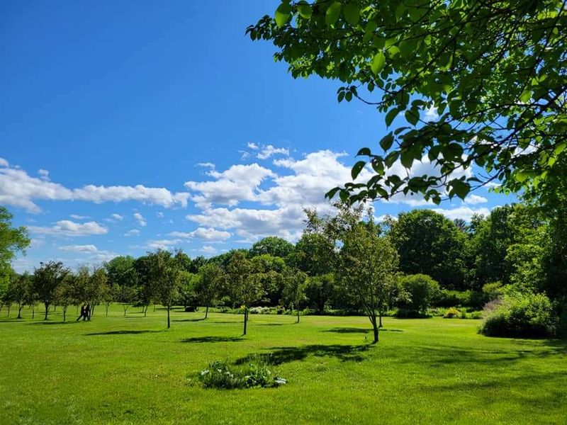Birdwatching and the Quieter Side of the Garden