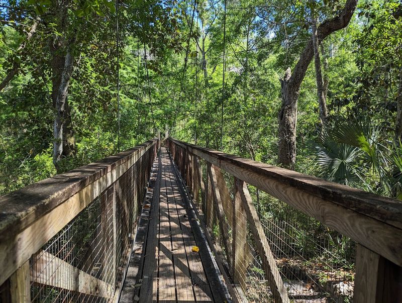 Two Suspension Bridges That Steal the Show