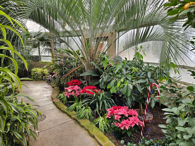 Inside the Three-Climate Conservatory