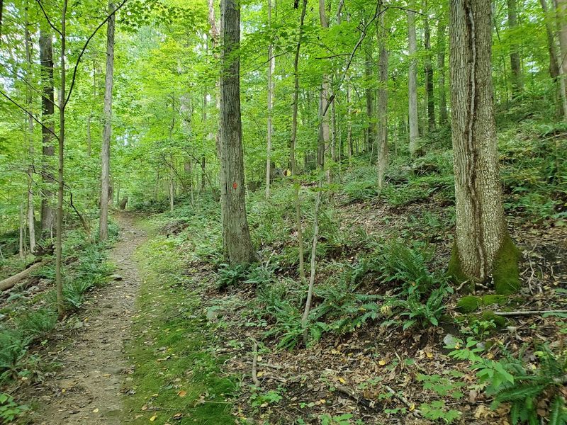 Trail Options for Every Fitness Level