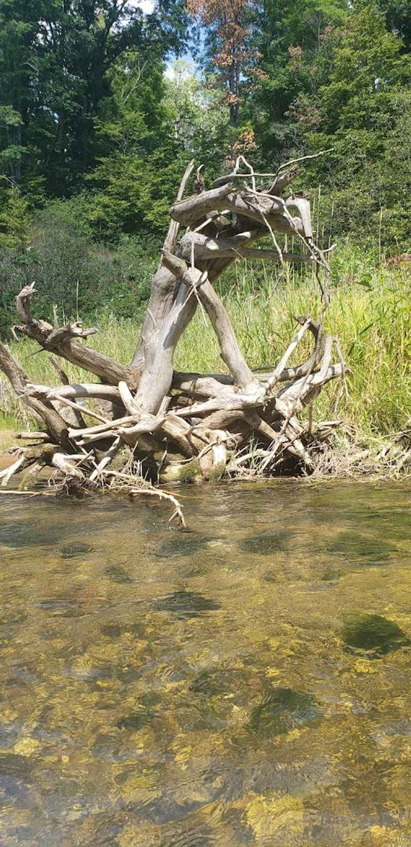 The Water Clarity That Stops Paddlers Mid-Stroke