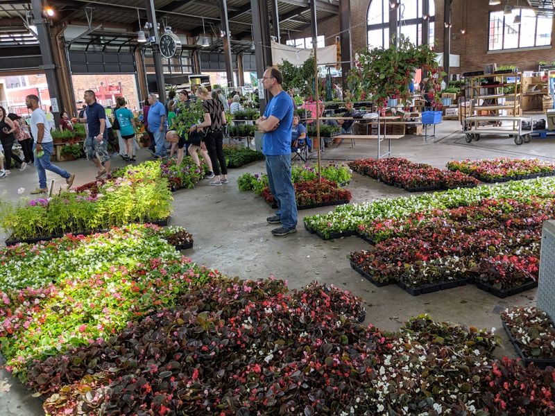 Flower Day: The Market's Biggest Celebration