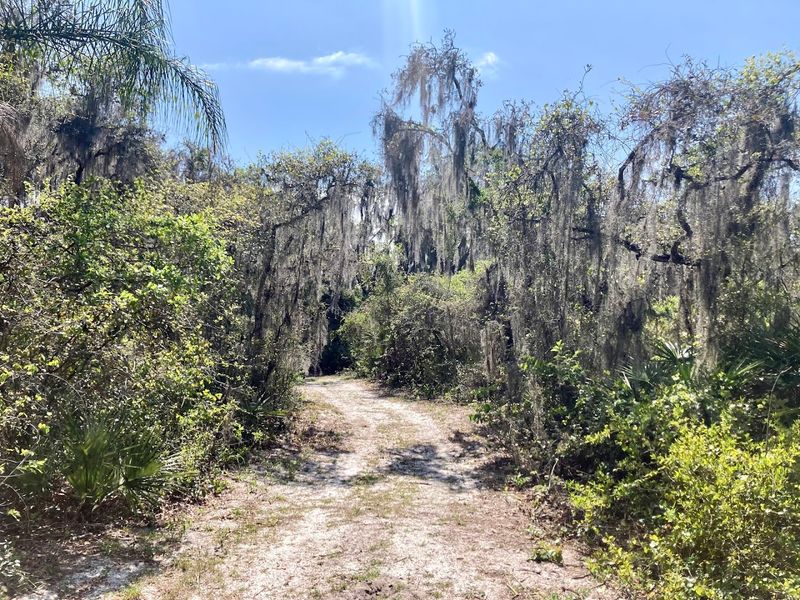 A Walking Trail That Actually Feels Like Nature