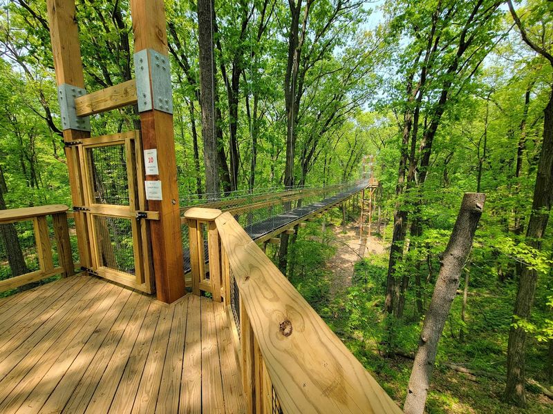 The Reach for the Sky Canopy Walk