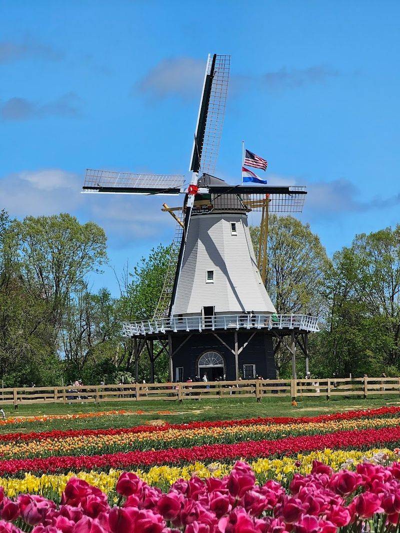 The Iconic Dutch Windmill Is the Heart of the Farm
