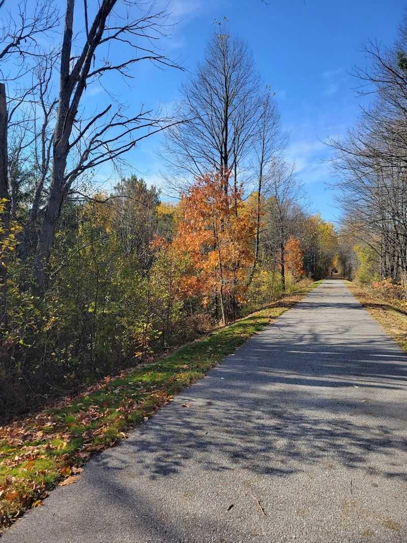 Trail Surface and Conditions