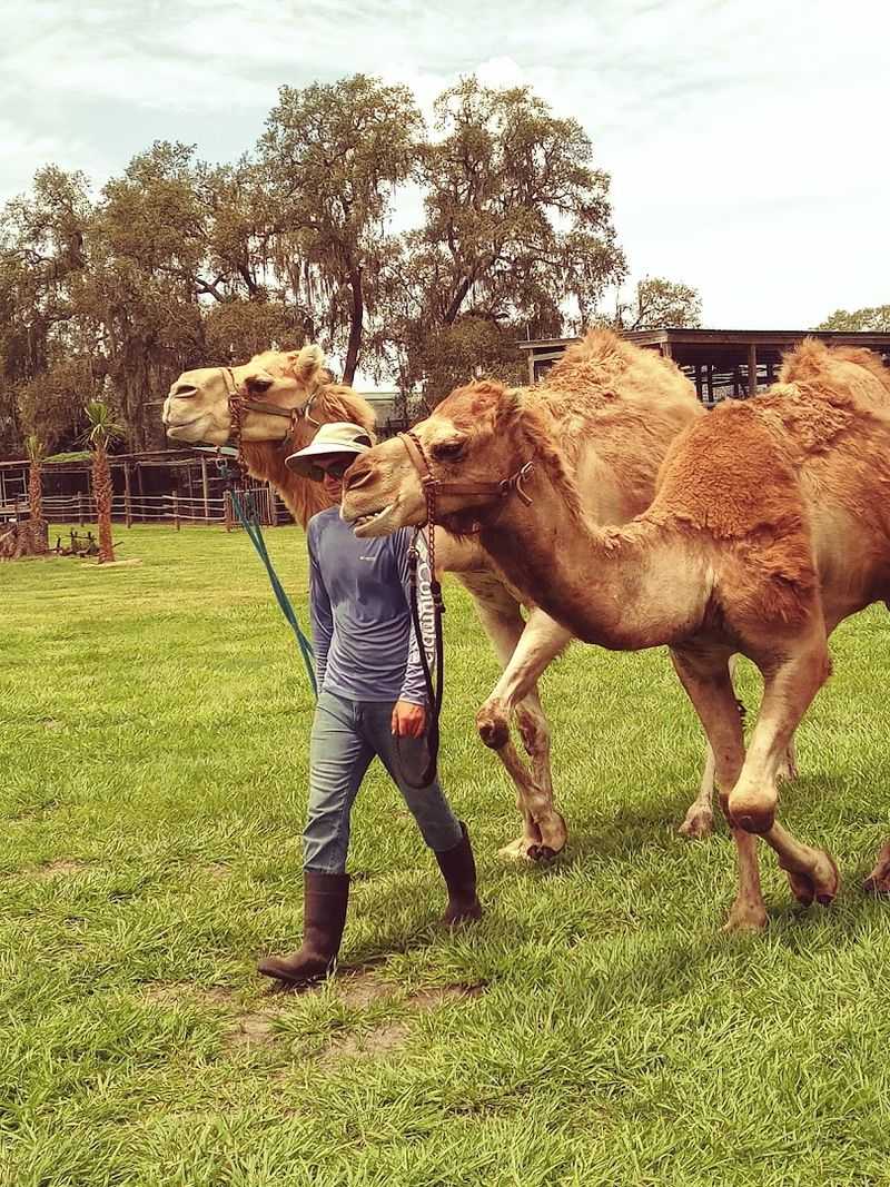 The Tour Guides Who Make It Special
