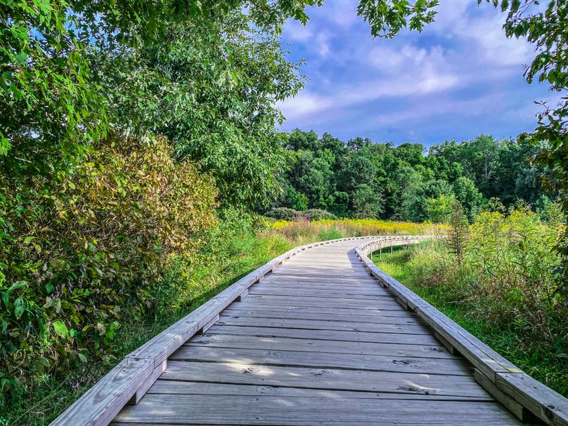 Flat, Easy, Crowd-Pleaser