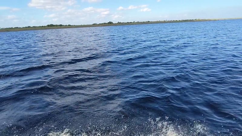 What The Science Actually Says About The Lakebed