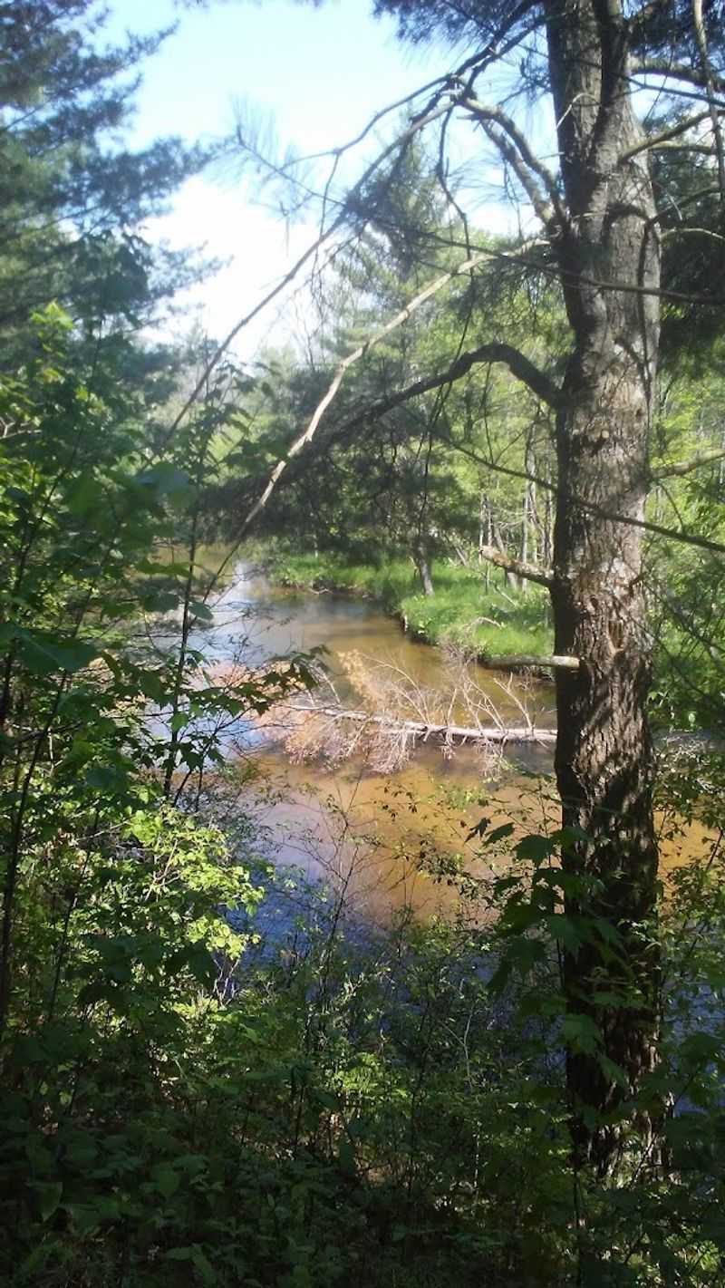 The Pere Marquette State Forest Setting