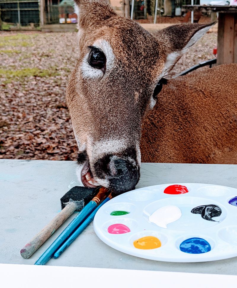 Educational Tours That Teach Without Preaching