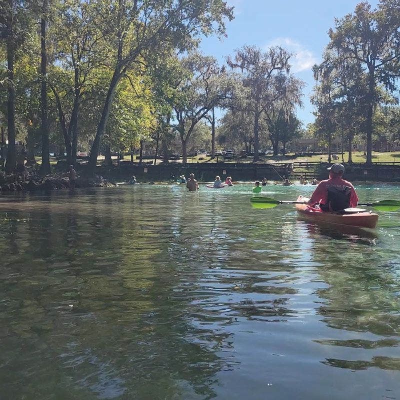 Kayaking the Spring Run to the Santa Fe River