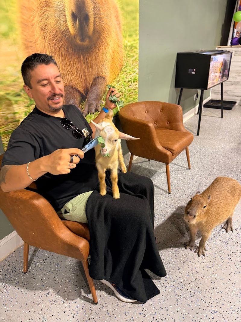 The Kale Tip That Every First-Timer Needs to Know