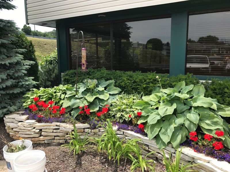 What to Know Before Your First Visit