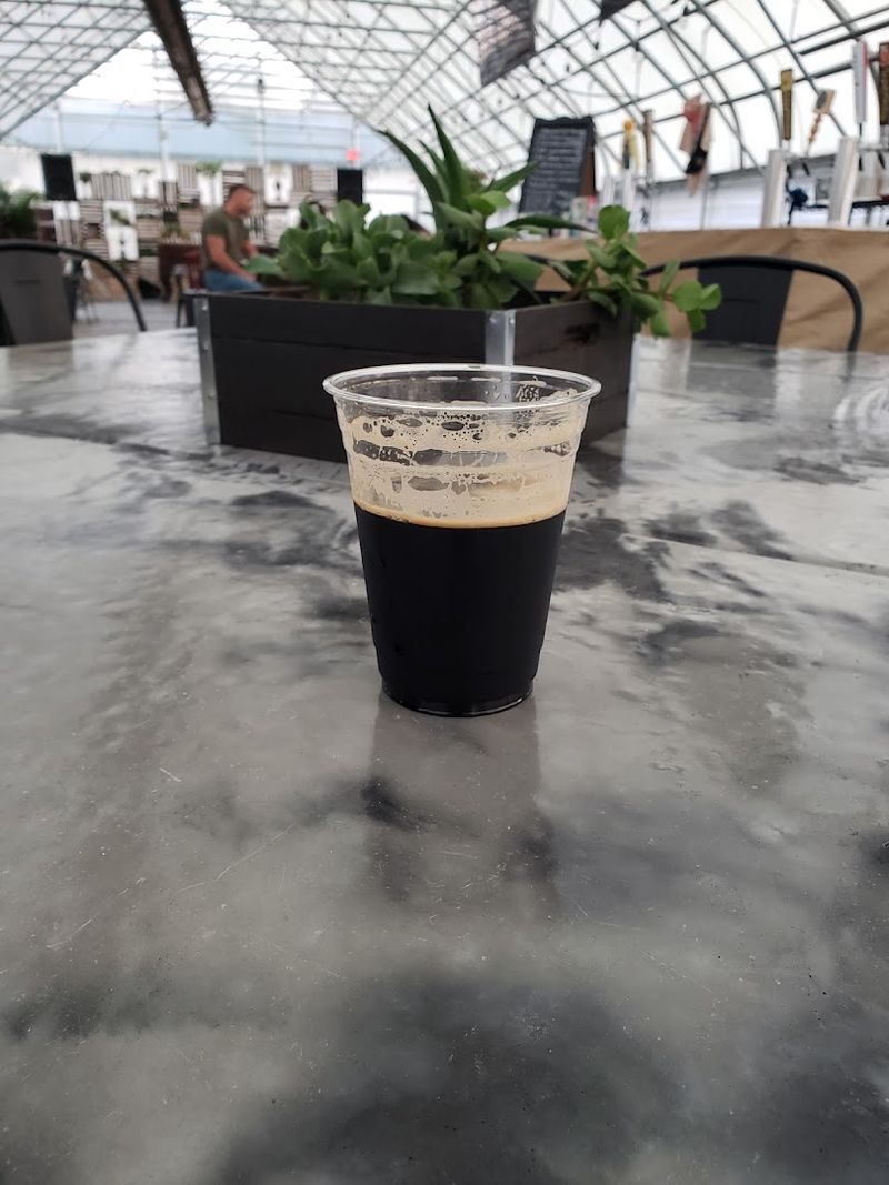 The Drink Selection: Taps, Cans, and Craft Options