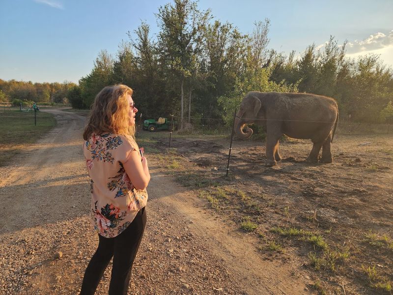 What Guests Keep Coming Back For: The Repeat Visitor Effect