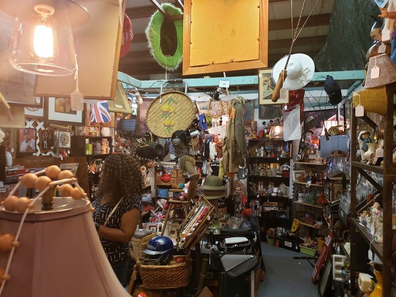 The Atmosphere Inside the Store