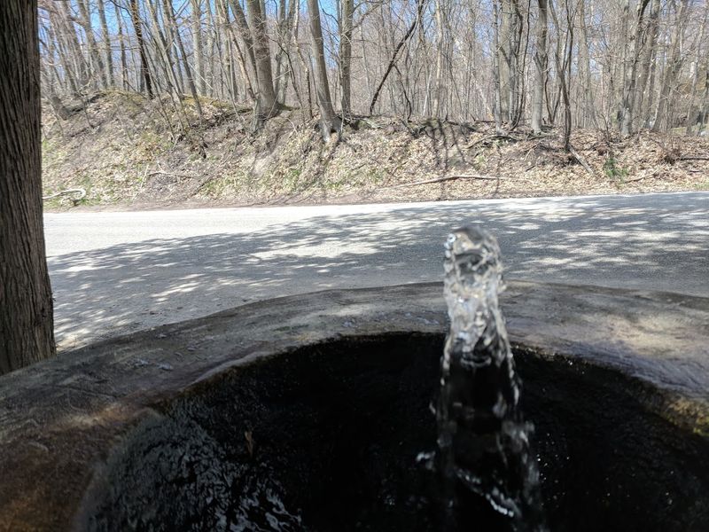 What the Water Actually Tastes Like