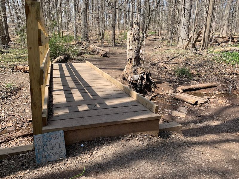 What the Trail Itself Is Like