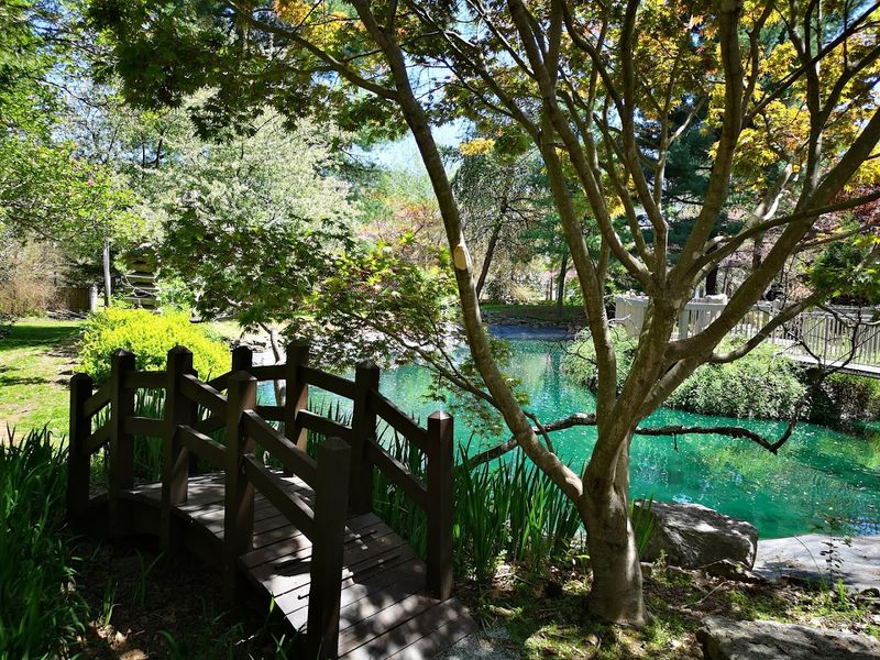 The English and Japanese Garden Sections