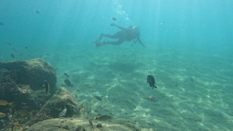 What the Water Actually Looks Like