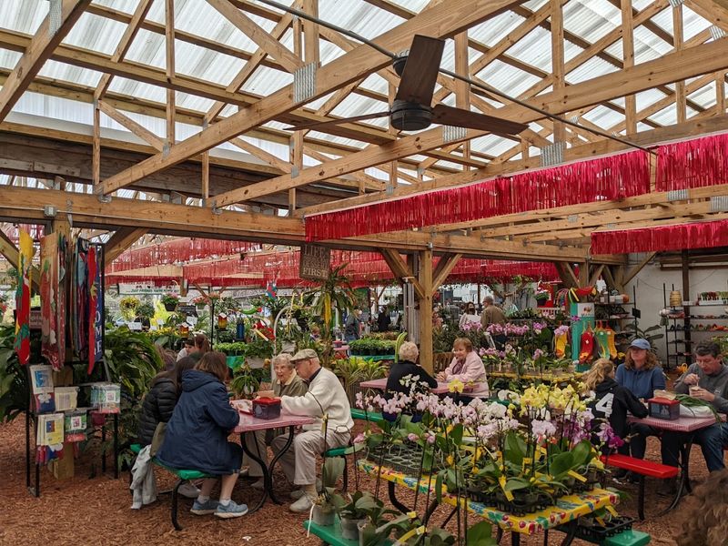 The Relaxed Atmosphere and Picnic Area