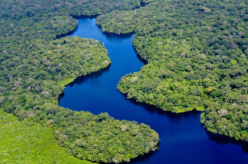 The Amazon Rainforest (South America)