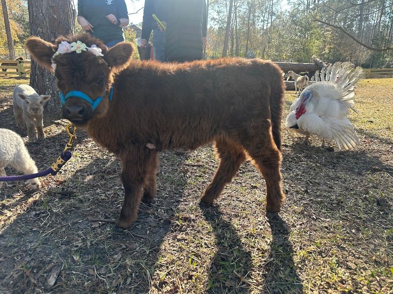 What to Know Before You Visit