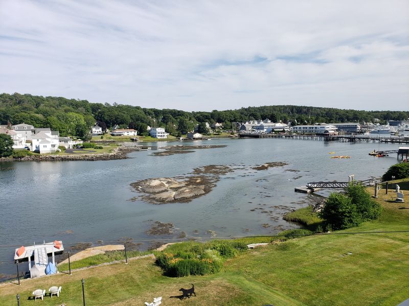 Whale Watching Is a Major Draw