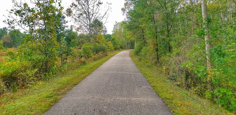 Practical Tips Before You Go