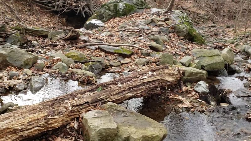 Rocky Terrain and What to Expect Underfoot