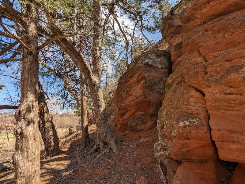 Rappelling the Red Sandstone Cliffs