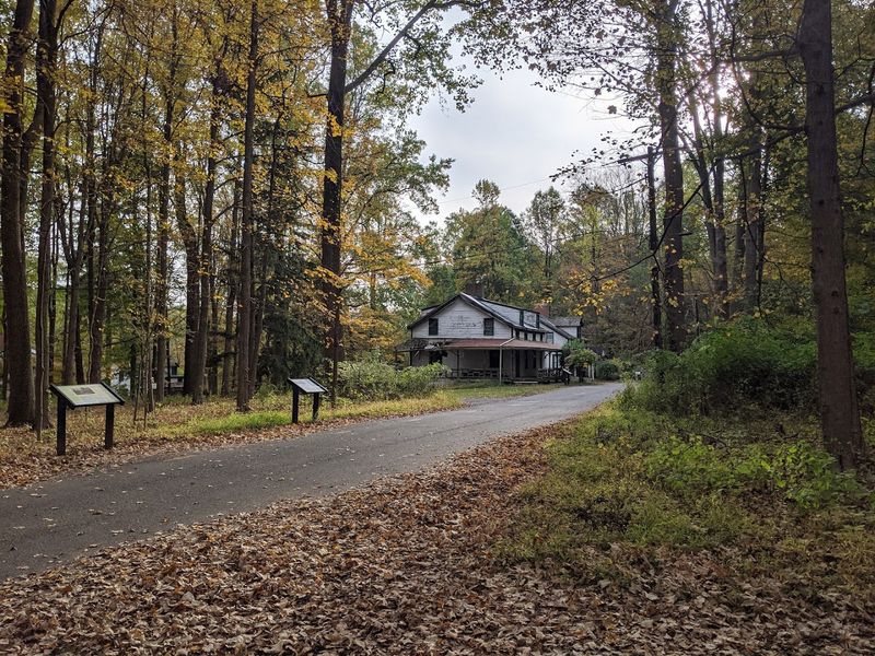 Dog-Friendly and Family-Ready Details