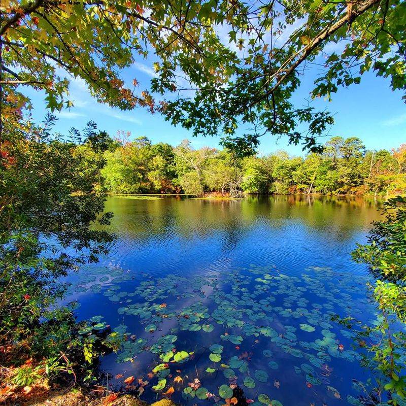 Where to Find It and What to Expect at the Entrance