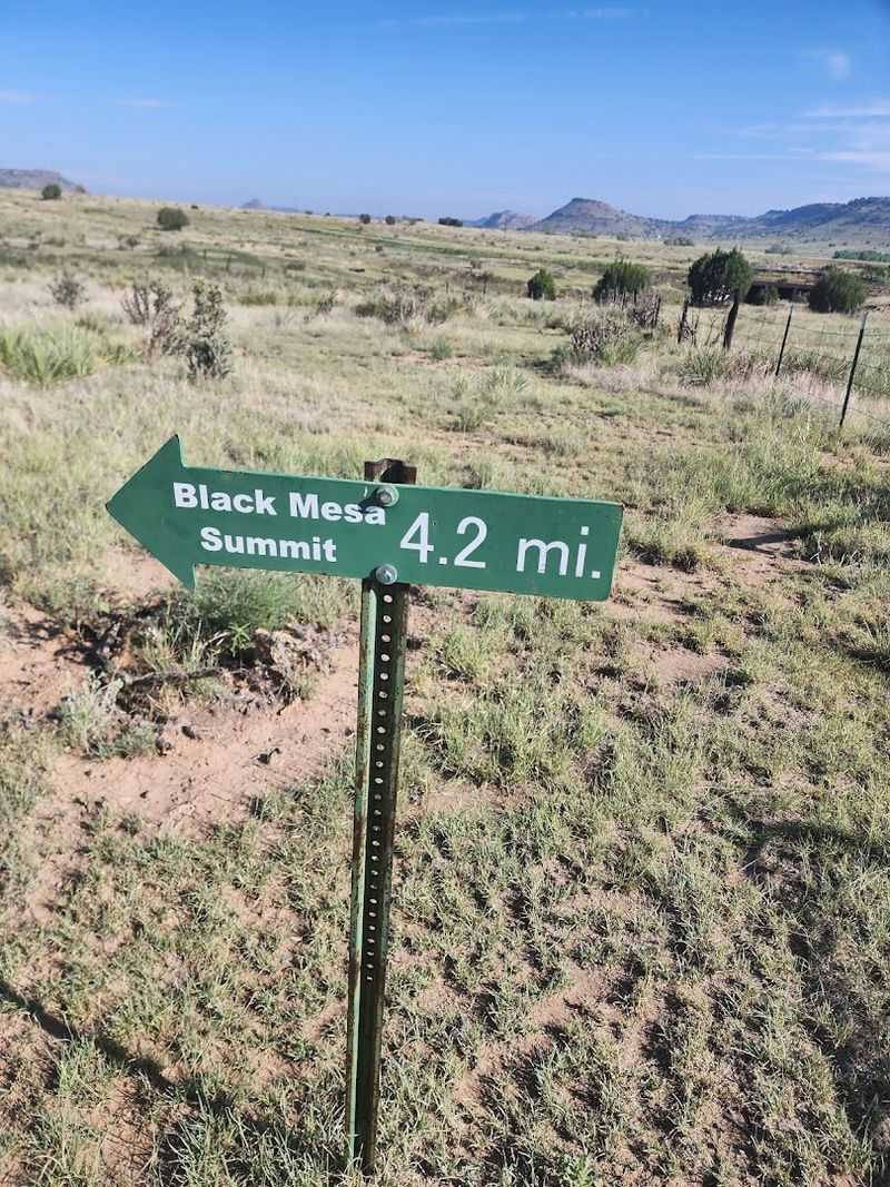 Essential Gear and Preparation Tips