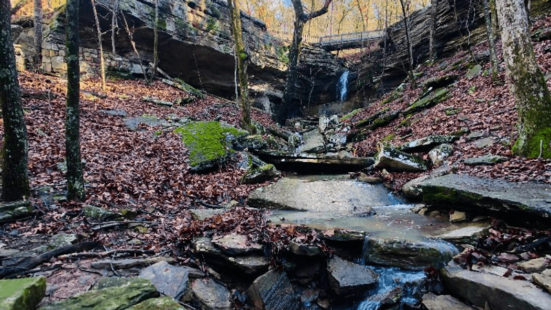 The Canyon Setting and Natural Scenery
