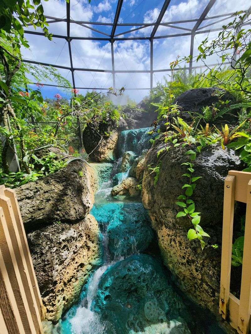 Tropical Bird Aviary Stroll