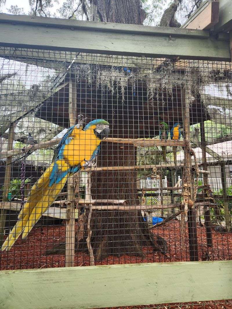 The Spotless Facilities That Prove Sanctuaries Can Shine