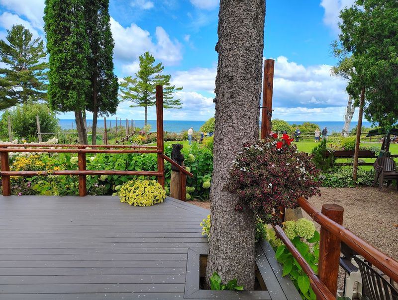 The Tunnel of Trees Drive That Leads You There