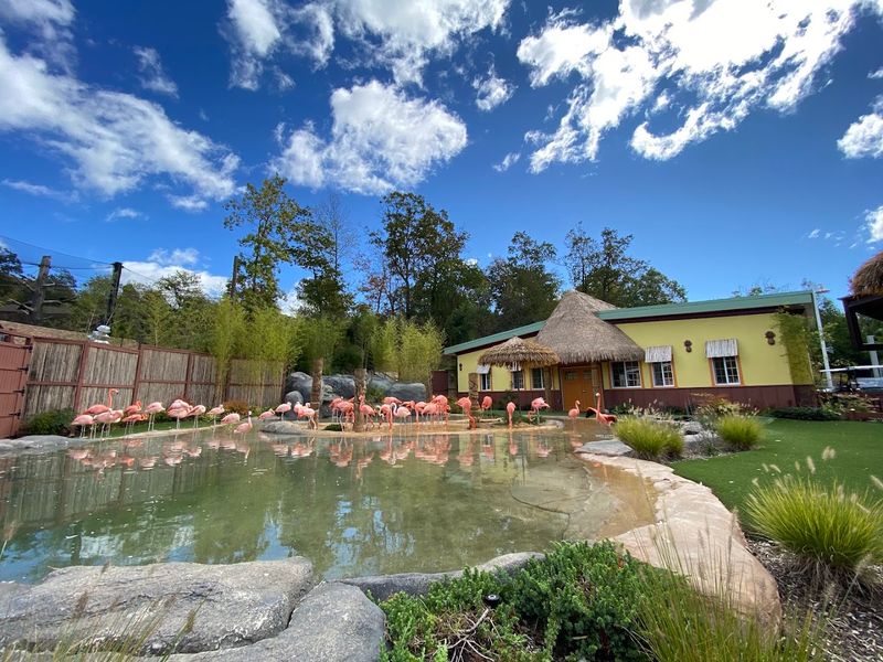 Why Weekday Visits Change the Whole Experience