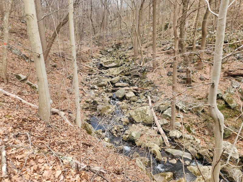 Ruins of the Old Paper Mill
