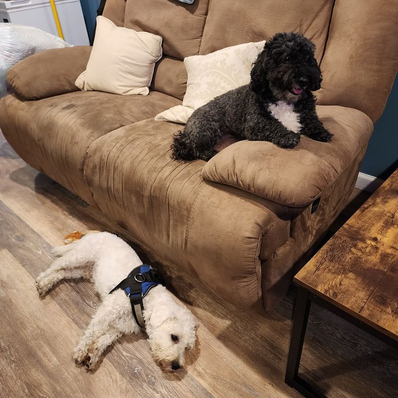 Hours, Scheduling, and How to Plan Your Visit