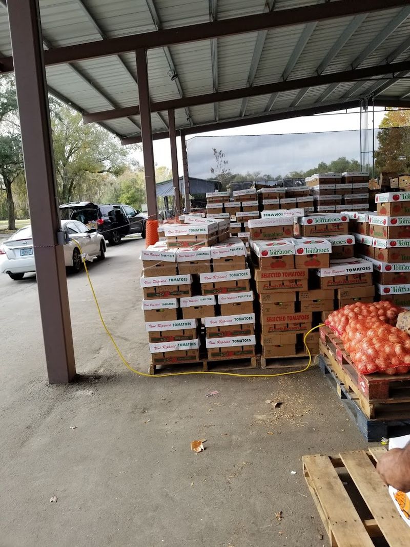 Navigating the Parking Situation